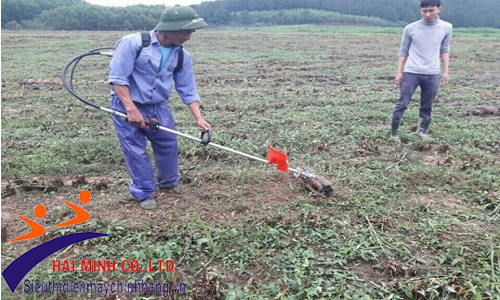 Máy xạc cỏ đem lại hiệu quả cao cho bà con nông dân khi sử dụng